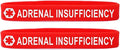 2 Pack of Medical Alert Wristband Bracelets in 12 Options