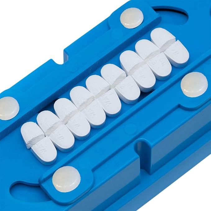 Apex Ultra Weekly Pill Organizer AM/PM 7-Day Large Compartments Color-Coded