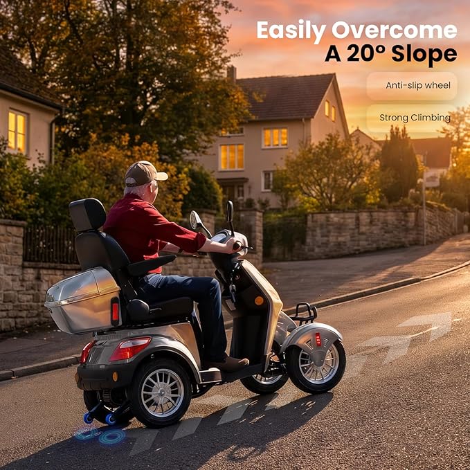Super Large Electric 4 Wheel Mobility Scooters, Heavy Duty 800W Wheelchair Device, 25 Miles Long Range, All Terrain Mobility Scooter，Speed Adjust, Remote Key,Receive Ready to Ride (Silver)